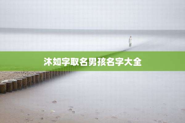 沐如字取名男孩名字大全