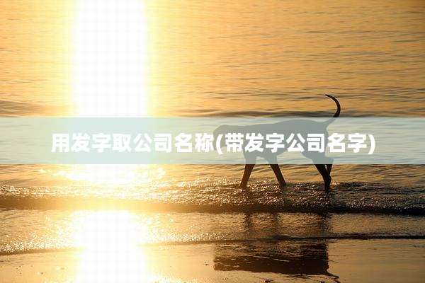 用发字取公司名称(带发字公司名字)