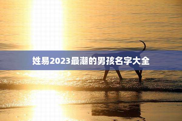 姓易2023最潮的男孩名字大全