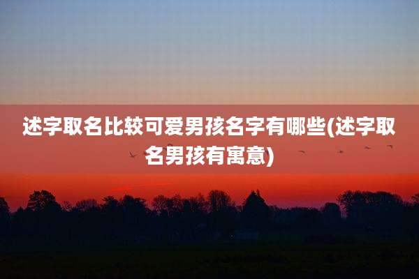 述字取名比较可爱男孩名字有哪些(述字取名男孩有寓意)