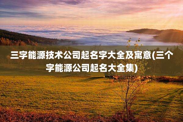 三字能源技术公司起名字大全及寓意(三个字能源公司起名大全集)