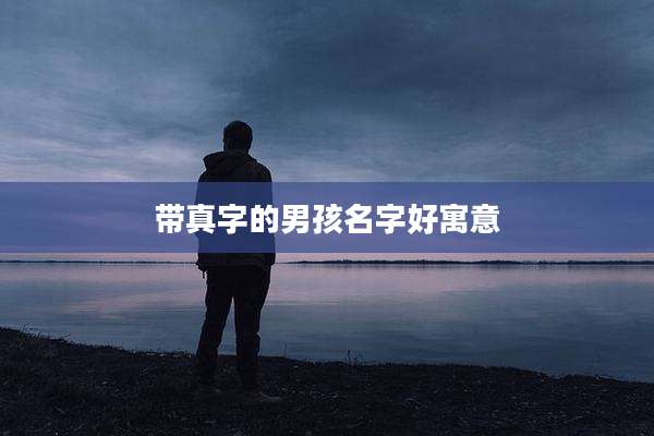 带真字的男孩名字好寓意
