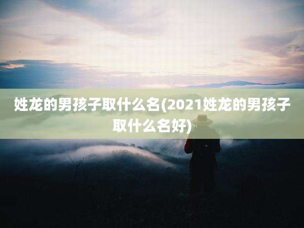 姓龙的男孩子取什么名(2021姓龙的男孩子取什么名好)