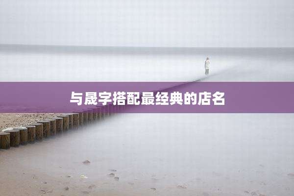 与晟字搭配最经典的店名