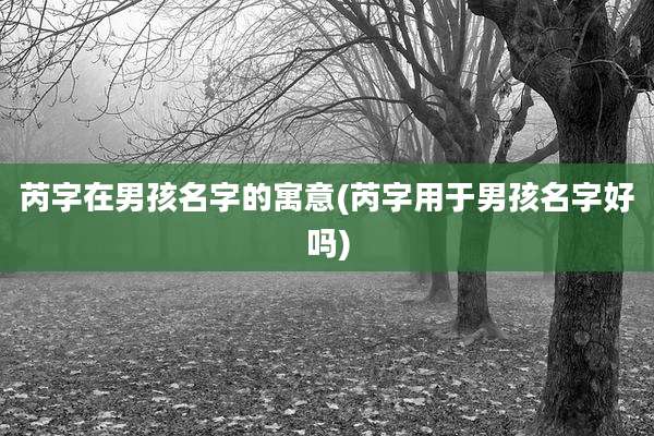 芮字在男孩名字的寓意(芮字用于男孩名字好吗)