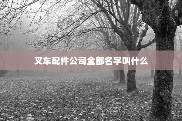 叉车配件公司全部名字叫什么