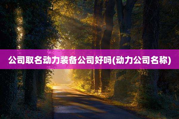 公司取名动力装备公司好吗(动力公司名称)