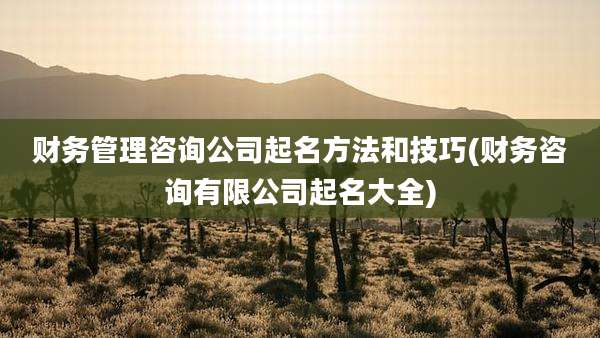 财务管理咨询公司起名方法和技巧(财务咨询有限公司起名大全)