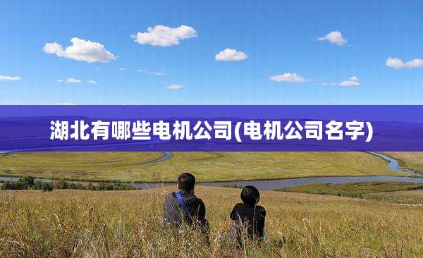 湖北有哪些电机公司(电机公司名字)