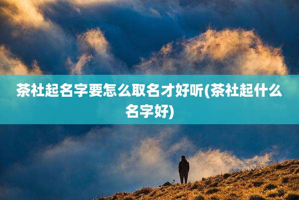 茶社起名字要怎么取名才好听(茶社起什么名字好)