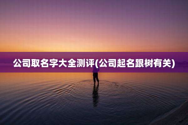公司取名字大全测评(公司起名跟树有关)