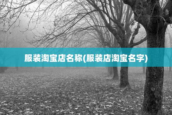 服装淘宝店名称(服装店淘宝名字)