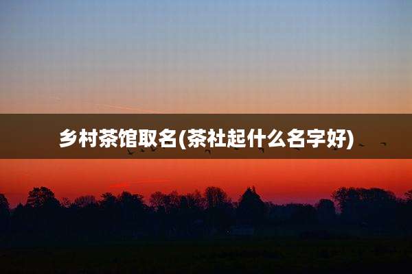 乡村茶馆取名(茶社起什么名字好)