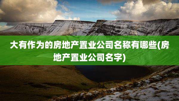 大有作为的房地产置业公司名称有哪些(房地产置业公司名字)