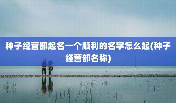 种子经营部起名一个顺利的名字怎么起(种子经营部名称)