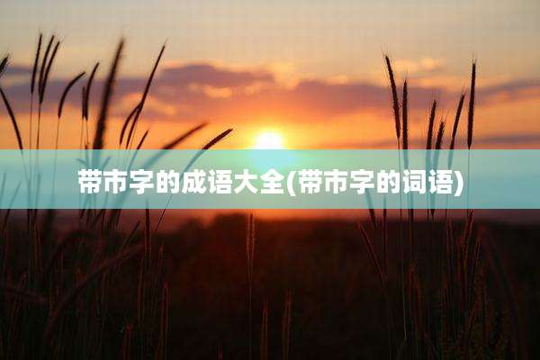 带市字的成语大全(带市字的词语)