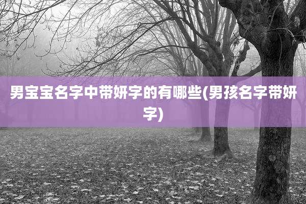 男宝宝名字中带妍字的有哪些(男孩名字带妍字)