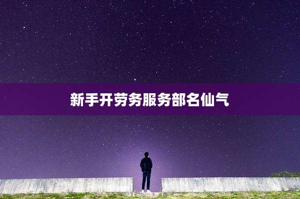 新手开劳务服务部名仙气