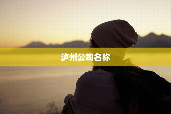 泸州公司名称