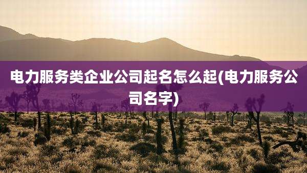 电力服务类企业公司起名怎么起(电力服务公司名字)