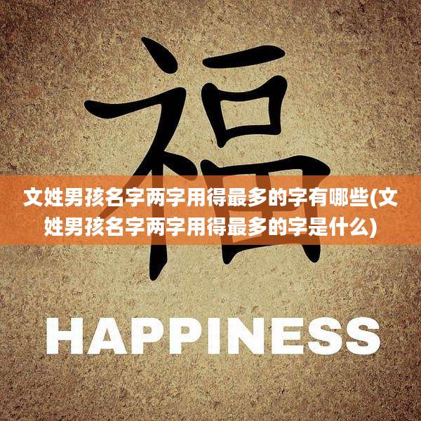 文姓男孩名字两字用得最多的字有哪些(文姓男孩名字两字用得最多的字是什么)