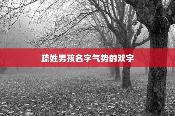 疏姓男孩名字气势的双字