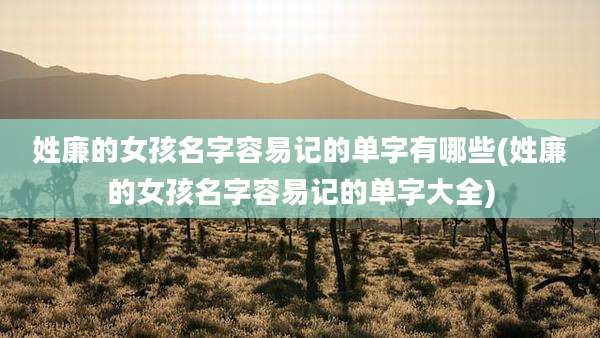 姓廉的女孩名字容易记的单字有哪些(姓廉的女孩名字容易记的单字大全)