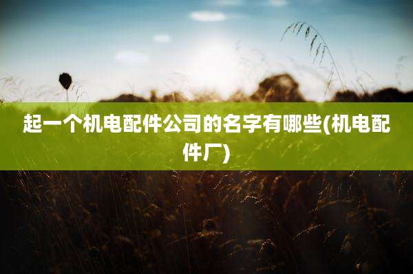 起一个机电配件公司的名字有哪些(机电配件厂)