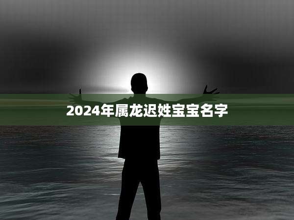 2024年属龙迟姓宝宝名字