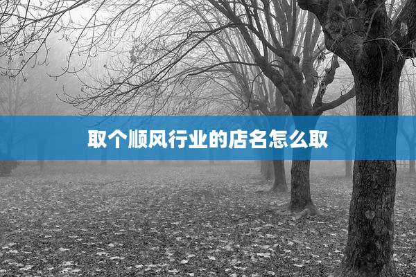 取个顺风行业的店名怎么取