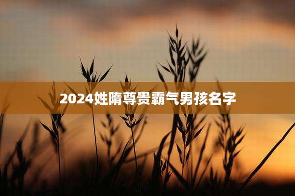 2024姓隋尊贵霸气男孩名字