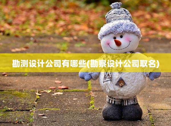 勘测设计公司有哪些(勘察设计公司取名)