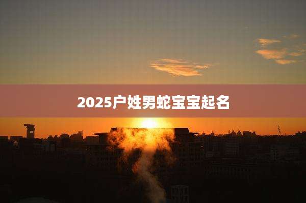 2025户姓男蛇宝宝起名