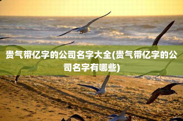 贵气带亿字的公司名字大全(贵气带亿字的公司名字有哪些)