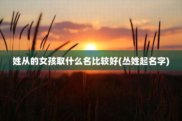 姓从的女孩取什么名比较好(丛姓起名字)