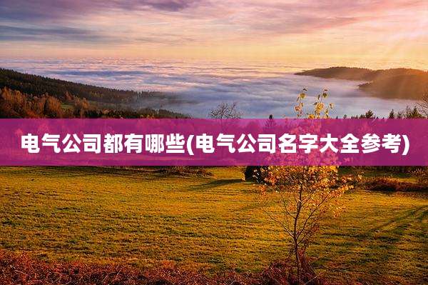 电气公司都有哪些(电气公司名字大全参考)