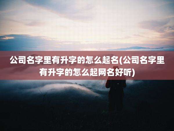 公司名字里有升字的怎么起名(公司名字里有升字的怎么起网名好听)