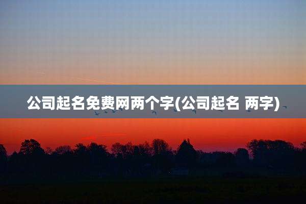 公司起名免费网两个字(公司起名 两字)