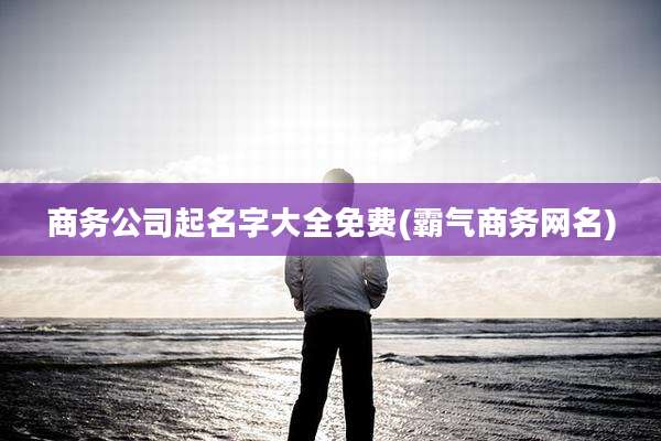 商务公司起名字大全免费(霸气商务网名)