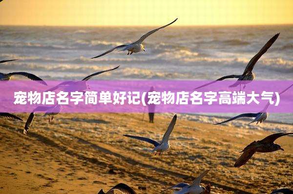 宠物店名字简单好记(宠物店名字高端大气)