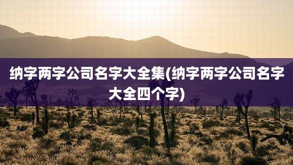 纳字两字公司名字大全集(纳字两字公司名字大全四个字)
