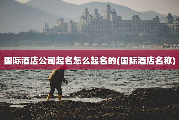国际酒店公司起名怎么起名的(国际酒店名称)