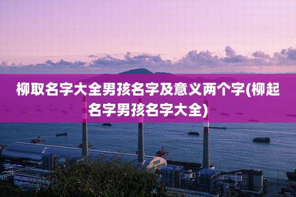 柳取名字大全男孩名字及意义两个字(柳起名字男孩名字大全)
