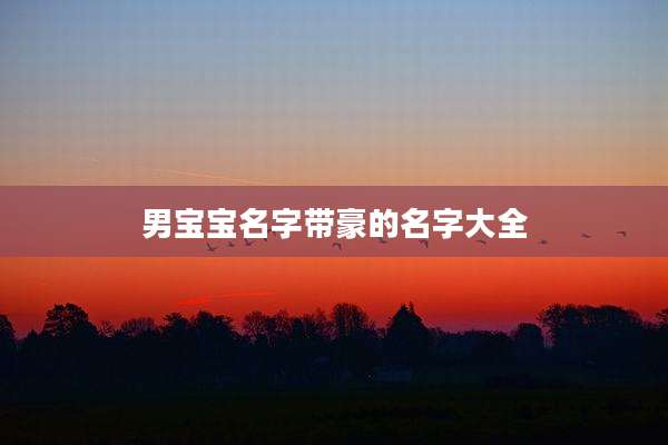 男宝宝名字带豪的名字大全