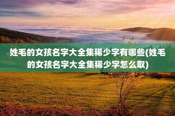 姓毛的女孩名字大全集稀少字有哪些(姓毛的女孩名字大全集稀少字怎么取)