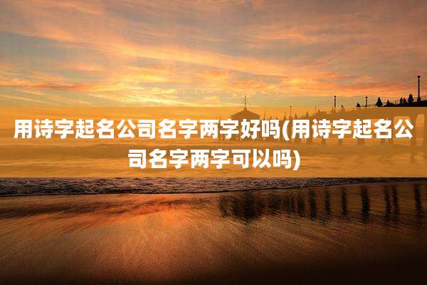 用诗字起名公司名字两字好吗(用诗字起名公司名字两字可以吗)