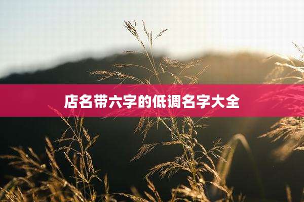店名带六字的低调名字大全