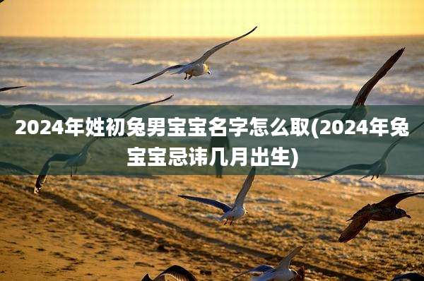 2024年姓初兔男宝宝名字怎么取(2024年兔宝宝忌讳几月出生)