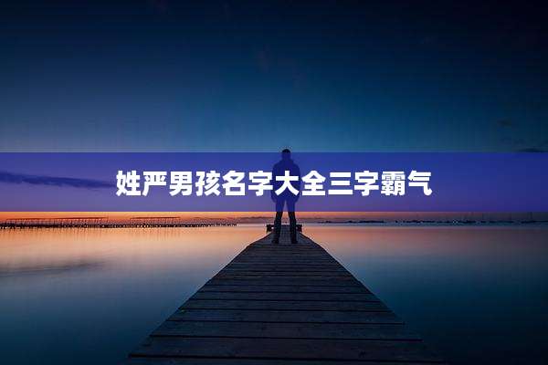 姓严男孩名字大全三字霸气