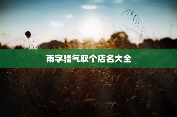 雨字骚气取个店名大全